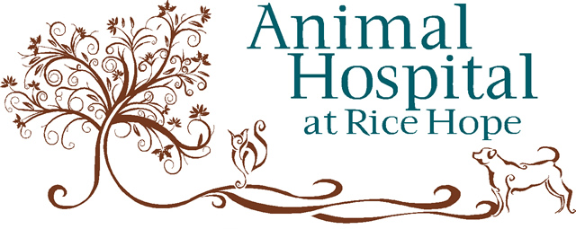 Animal Hospital at Rice Hope Logo